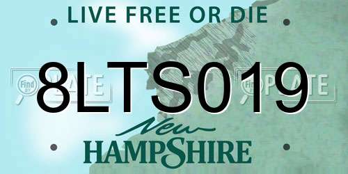 8LTS019 New Hampshire License Plate