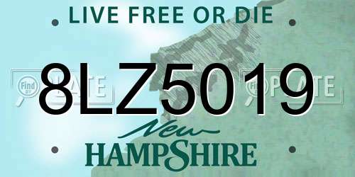 8LZ5019 New Hampshire License Plate