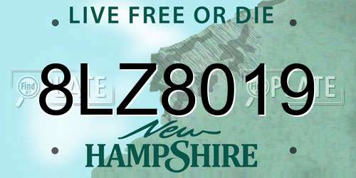 8LZ8019 New Hampshire License Plate