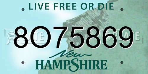 8O75869 New Hampshire License Plate