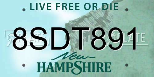 8SDT891 New Hampshire License Plate