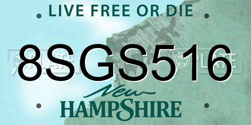 8SGS516 New Hampshire License Plate