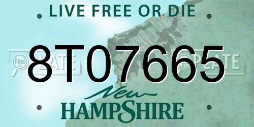 8T07665 New Hampshire License Plate