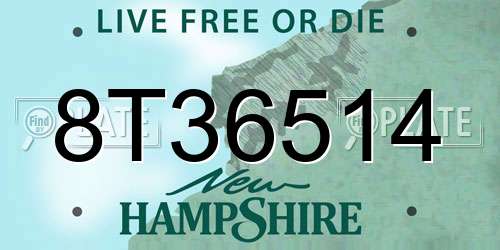 8T36514 New Hampshire License Plate