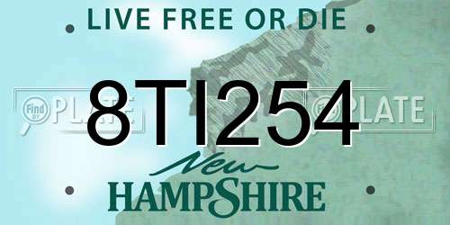 8TI254 New Hampshire License Plate