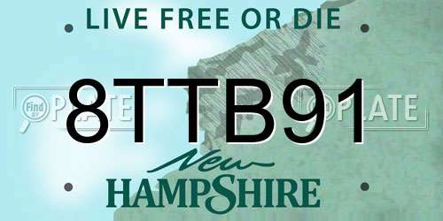 8TTB91 New Hampshire License Plate