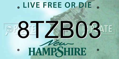 8TZB03 New Hampshire License Plate