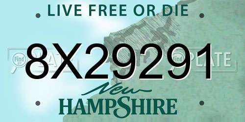 8X29291 New Hampshire License Plate