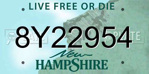 8Y22954 New Hampshire License Plate