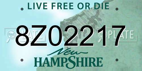 8Z02217 New Hampshire License Plate