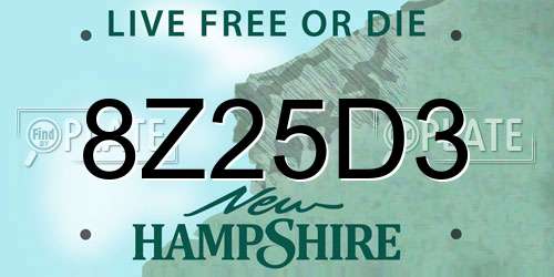 8Z25D3 New Hampshire License Plate