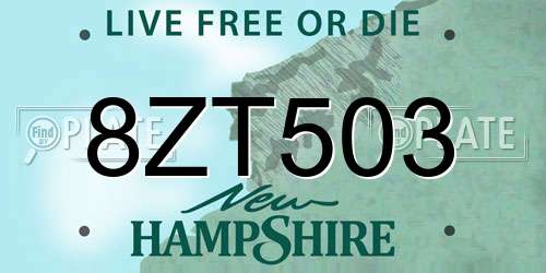 8ZT503 New Hampshire License Plate