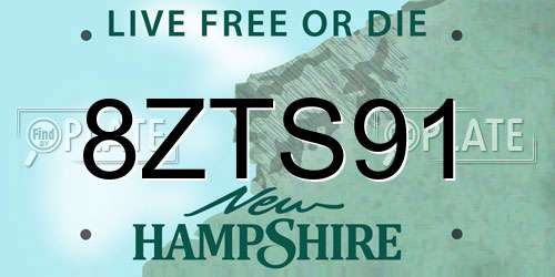 8ZTS91 New Hampshire License Plate