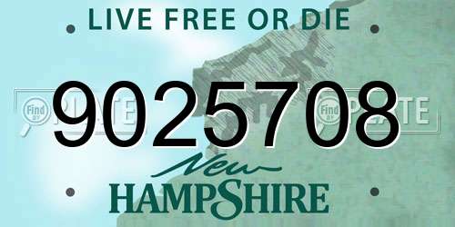 9025708 New Hampshire License Plate