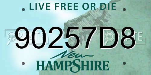 90257D8 New Hampshire License Plate