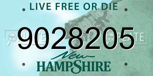 9028205 New Hampshire License Plate