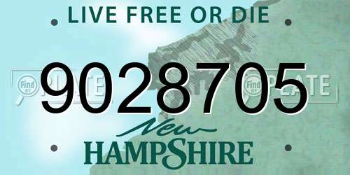 9028705 New Hampshire License Plate