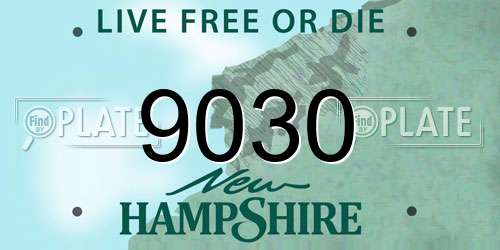 9030 New Hampshire License Plate