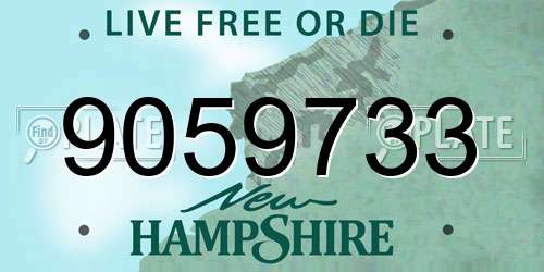 9059733 New Hampshire License Plate