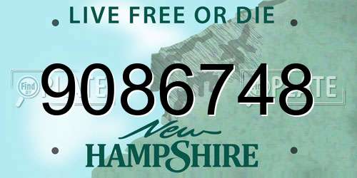 9086748 New Hampshire License Plate