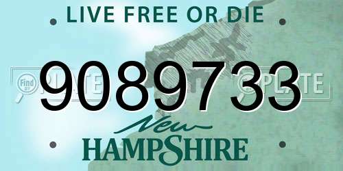 9089733 New Hampshire License Plate