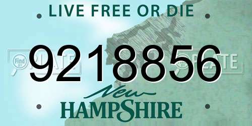 9218856 New Hampshire License Plate