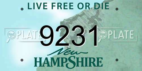 9231 New Hampshire License Plate