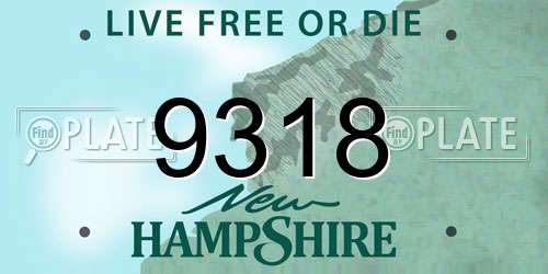 9318 New Hampshire License Plate