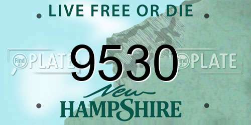 9530 New Hampshire License Plate