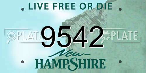 9542 New Hampshire License Plate