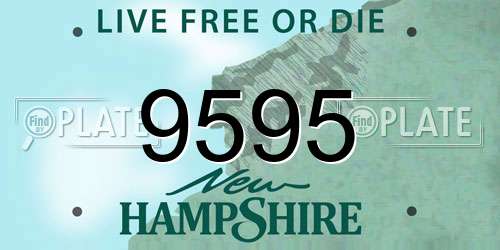 9595 New Hampshire License Plate
