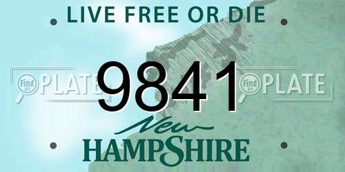 9841 New Hampshire License Plate