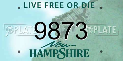 9873 New Hampshire License Plate