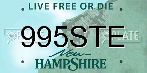 995STE New Hampshire License Plate