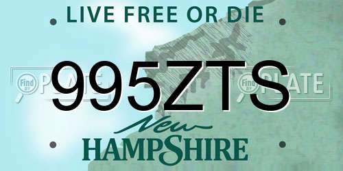 995ZTS New Hampshire License Plate
