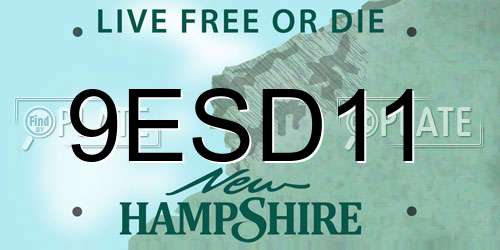 9ESD11 New Hampshire License Plate