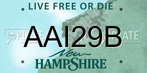 AAI29B New Hampshire License Plate