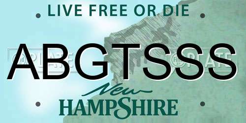 ABGTSSS New Hampshire License Plate