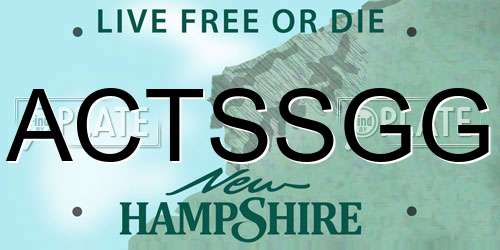 ACTSSGG New Hampshire License Plate