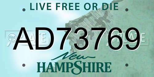 AD73769 New Hampshire License Plate