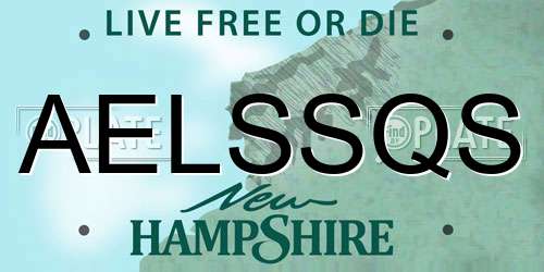 AELSSQS New Hampshire License Plate