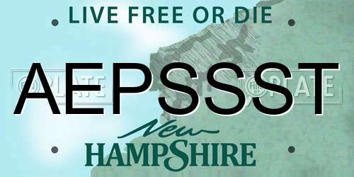 AEPSSST New Hampshire License Plate