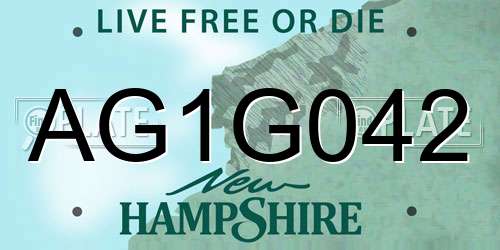 AG1G042 New Hampshire License Plate