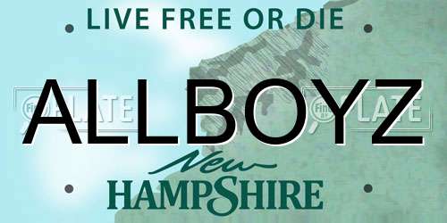 ALLBOYZ New Hampshire License Plate