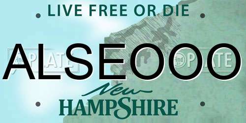 ALSEOOO New Hampshire License Plate