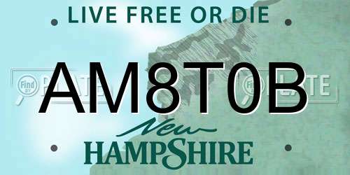 AM8T0B New Hampshire License Plate