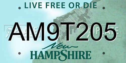 AM9T205 New Hampshire License Plate