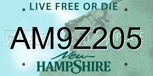 AM9Z205 New Hampshire License Plate