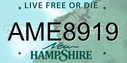 AME8919 New Hampshire License Plate