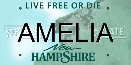 AMELIA New Hampshire License Plate